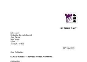 Elmbridge Core Strategy Revised Issues   Options May 2008