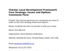 Chester Core Strategy Issues   Options June 08