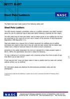 6. NASC Alert Steel Pole Ladders