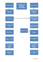 6. Health and Safety Committee and subgroups 06.07.11