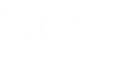 BRiCS_Dev_Logo_NEG-1024x532.png