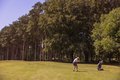 D. HBF Golf Day 2026.8..