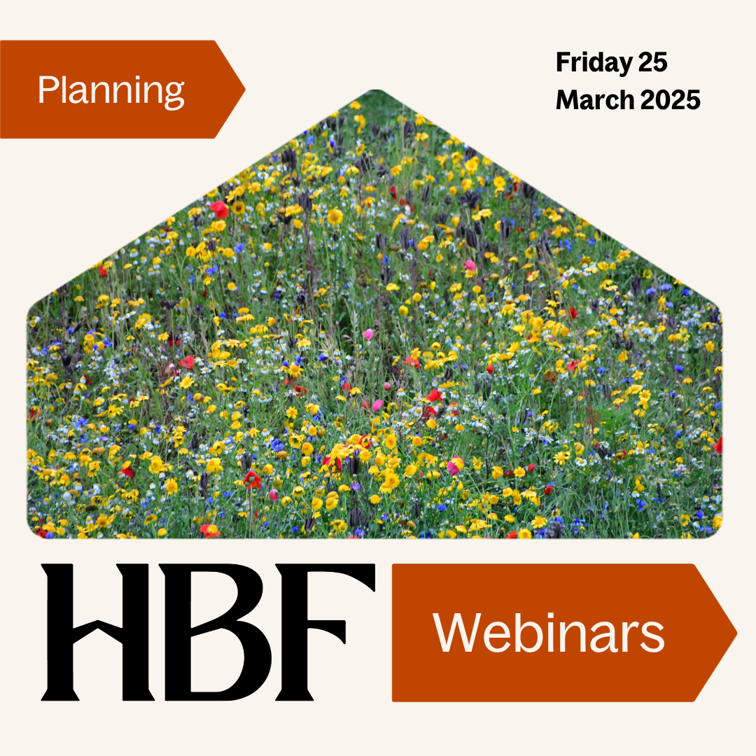 BNG webinar