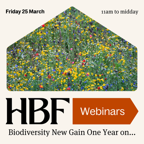 HBF_webinar_April_2025BNG