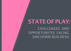 State of Play SME report