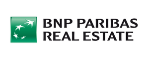 bnp logo