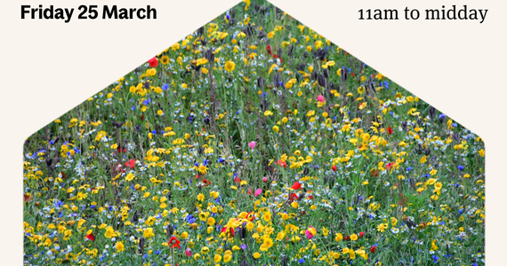 hbf bng webinar thumbnail