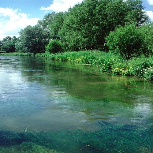 river picture
